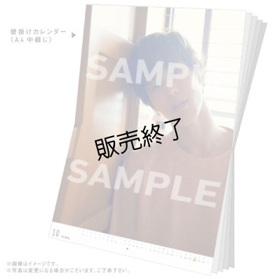 画像2: 本田礼生  2020年壁掛けカレンダー＆メイキングDVD