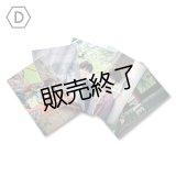 本田礼生  ブロマイド5点 D