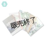 山崎晶吾  ブロマイド5点 B