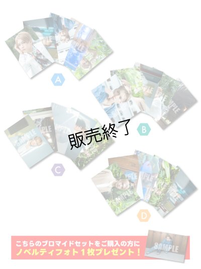 画像1: 田村升吾  ブロマイド20点 ABCDセット  (ノベルティフォト付き)