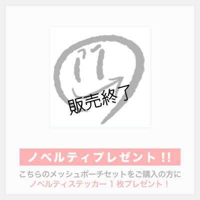 画像5: 矢田悠祐  オリジナルデザイン  メッシュポーチセット  