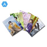 矢田悠祐  ブロマイド5点 A  