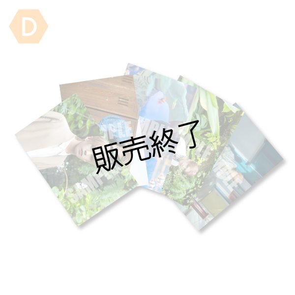 画像1: 田村升吾  ブロマイド5点 D (1)