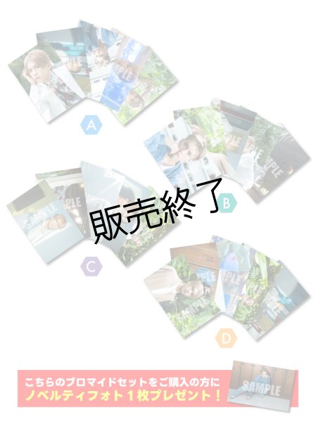 画像1: 田村升吾  ブロマイド20点 ABCDセット  (ノベルティフォト付き) (1)