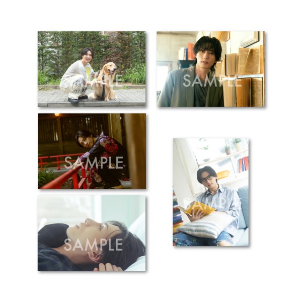 画像2: 山崎晶吾  ブロマイド5点 B  【完全受注商品】 (2)