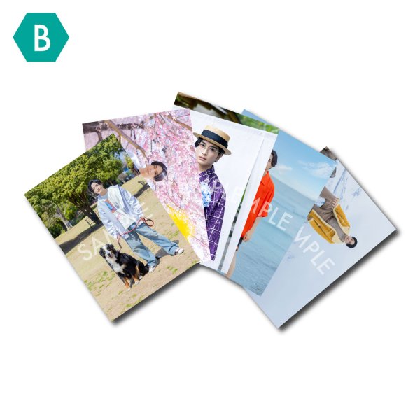 画像1: 矢田悠祐  ブロマイド5点 B   (1)