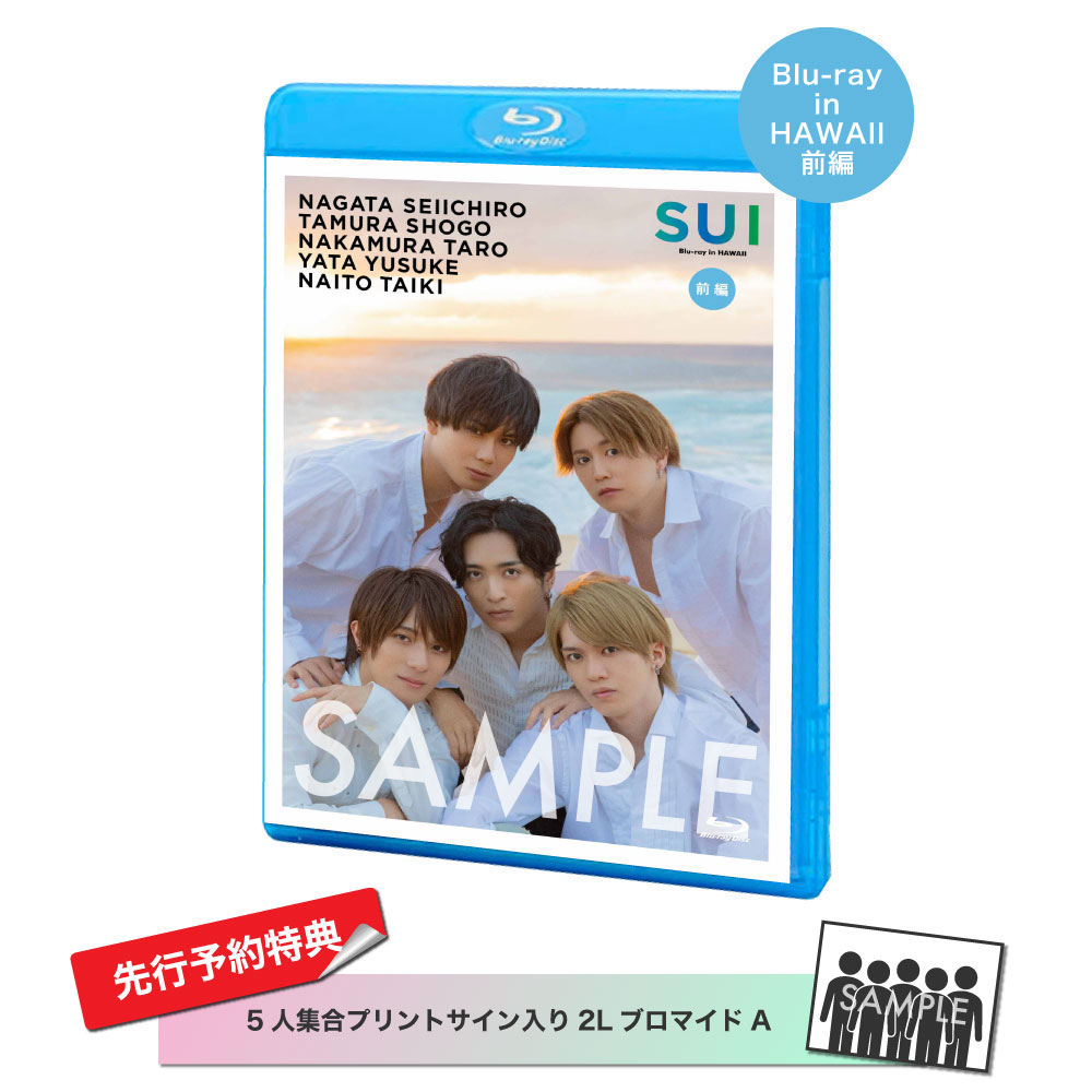 SUI Blu-ray Hawaii アクリルボート ブロマイド - その他